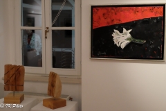 DSCF0234